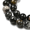 Natural Black Silver Leaf Jasper Beads Strands G-R494-A17-03-3