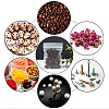Heavy Duty Plastic Resealable Bags OPP-PH0001-26D-9