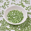 MIYUKI TILA Beads LS-X-SEED-J020-TL439-2