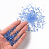 Glass Seed Beads SEED-A004-3mm-6-4