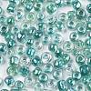 6/0 Glass Seed Beads X-SEED-A016-4mm-216-2
