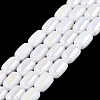 Electroplate Opaque Glass Beads Strands EGLA-Q132-03B-C01-1