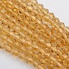 Bicone Glass Beads Strands EGLA-P016-3mm-08-1