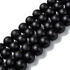 Natural Black Onyx Beads Strands G-Z024-01A-1