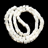 Natural Trochid Shell/Trochus Shell Beads Strands SHEL-C010-05B-3