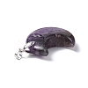 Natural Amethyst Pendants G-Z022-04C-3