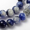 Natural Sodalite Beads Strand GSR12mmC013-2