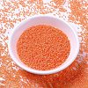 MIYUKI Delica Beads SEED-X0054-DB2047-2