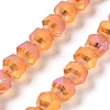 Electroplate Transparent Glass Beads Strands EGLA-I018-FR01-1