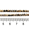 Natural Dalmatian Jasper Beads Strands G-Z068-B07-01-5