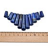 Natural Lapis Lazuli Beads Strands G-P298-I01-3