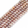 Natural Cultured Freshwater Pearl Beads Strands PEAR-L033-08A-01-1