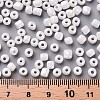 6/0 Glass Seed Beads SEED-US0003-4mm-121-3