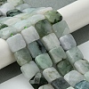 Natural Myanmar Jadeite Beads Strands G-A092-C01-02-2