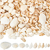 Natural Shell Beads SHEL-SP0001-03-1