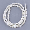 Natural White Shell Beads X-SHEL-T012-49B-2