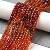 Natural Carnelian Beads Strands G-Q002-C01-02-5