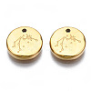 316 Surgical Stainless Steel Charms STAS-S116-418F-G-2