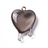 Transparent Resin Pendants RESI-F028-01B-1