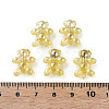 Transparent Acrylic Beads MACR-S154-127-C05-6
