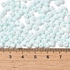 6/0 Glass Seed Beads X1-SEED-M012-01A-13-4