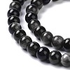 Natural Silver Obsidian Beads Strands X-G-D083-01D-3