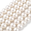 Shell Pearl Bead Strands X-BSHE-L026-03-8mm-2