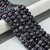 Natural Sugilite Beads Strands G-A092-G04-04-2