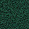 12/0 FGB Grade A Round Glass Seed Beads SEED-N001-A-1029-2