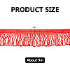 Polyester Tassel Lace Ribbon DIY-WH0308-535B-2