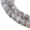 Natural Freshwater Shell Dyed Beads Strands SHEL-R100-11A-02-3
