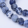 Natural Sodalite Beads Strands X-G-Q462-10mm-07-1