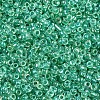 12/0 Glass Seed Beads SEED-A016-2mm-216-3
