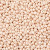 6/0 Glass Seed Beads SEED-L011-08A-24-3