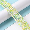 Glass Seed Bead Strands LAMP-B021-04B-2