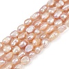 Natural Cultured Freshwater Pearl Beads Strands PEAR-P064-20H-02D-2
