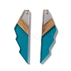 Transparent Resin & Walnut Wood Big Pendants RESI-M027-09J-1