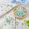 Picasso Baking Paint Glass Seed Beads SEED-TA0001-61A-6