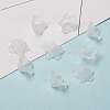 Transparent Acrylic Beads X-PL560-1-3
