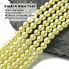 Eco-Friendly  Dyed Glass Pearl Round Beads Strands HY-A002-8mm-RB012-2