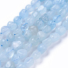 Natural Aquamarine Beads Strands G-P433-06B-01-2