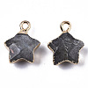 Natural Labradorite Pendants G-N326-36B-2