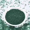 MIYUKI Round Rocailles Beads SEED-X0054-RR0147F-2