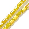 Glass Beads Strands EGLA-P052-03C-03-1