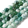 Dyed & Heated Natural Fire Crackle Agate Beads Strands G-P539-B01-21-1