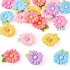 20pcs Opaque Resin Cabochons RESI-TADJ0001-08E-3