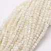 Natural White Shell Beads G-N0190-11-2mm-1