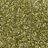 MIYUKI Delica Beads SEED-X0054-DB0124-3