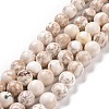 Natural Magnesite Beads Strands TURQ-P027-22-8mm-1