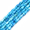 Natural Freshwater Shell Beads Strands SHEL-N026-213-B02-1